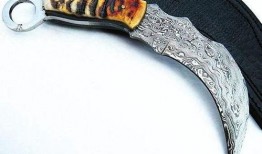 爪子刀最新爆料,最新爆料背后的真相与内幕